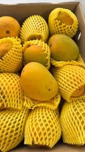 Imam Pasand / Himayat Mangoes