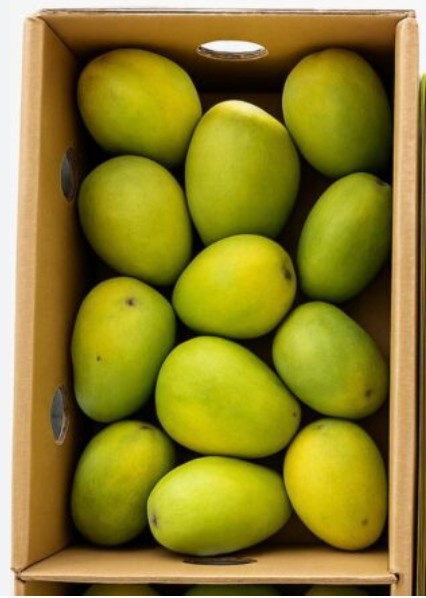 Anwar Ratol Mangoes
